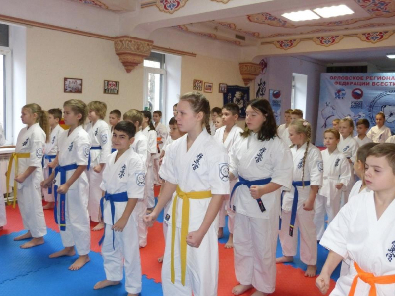 Сегодня прошел Детский Фестиваль по Всестилевому каратэ в разделе ката Орловской Областной Федерации Киокусинкай.