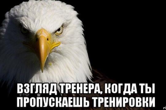 Летний режим тренировок