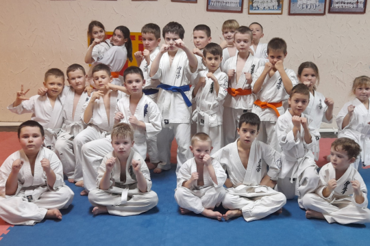 Каратисты группы 6-9 лет ДС 