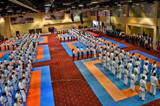 Чемпионат мира всестилевому каратэ и первенство мира (IASKF)