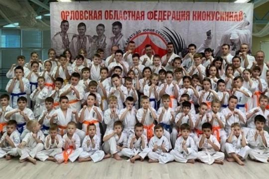 Что такое Киокушинкай каратэ-до