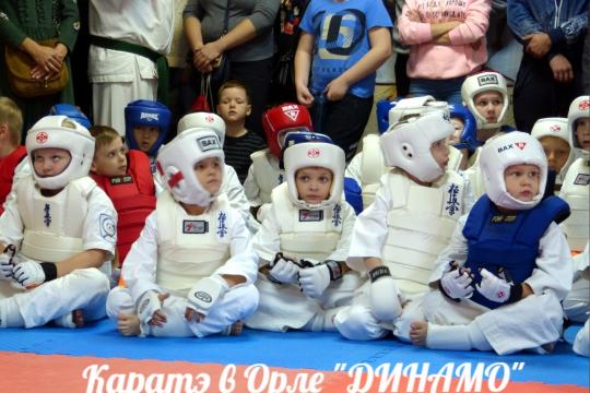 Что такое Киокушинкай